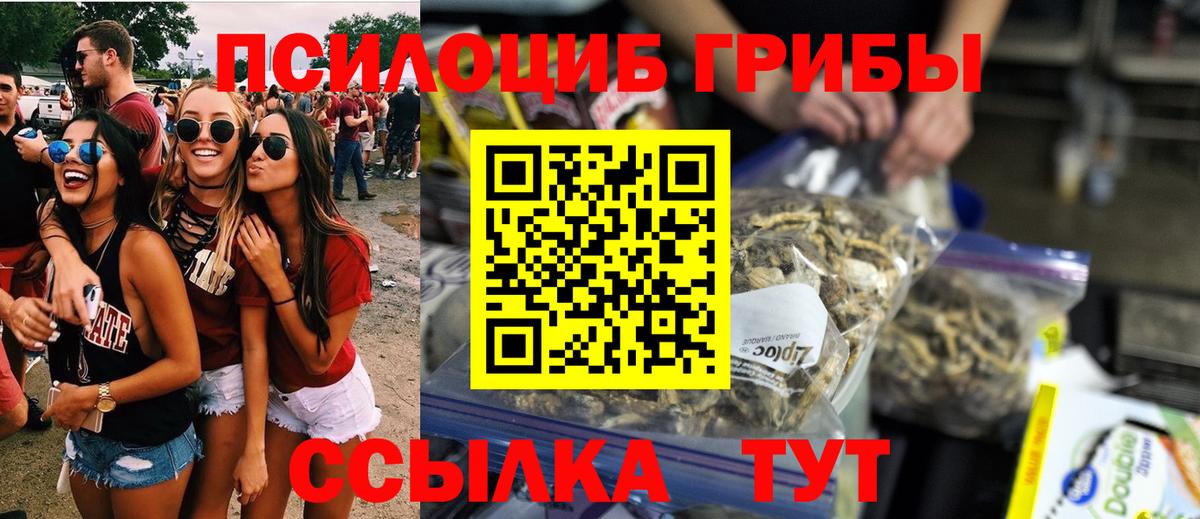 Красный Сулин  Псилоцибиновые грибы прущие грибы  Вход с VPN 